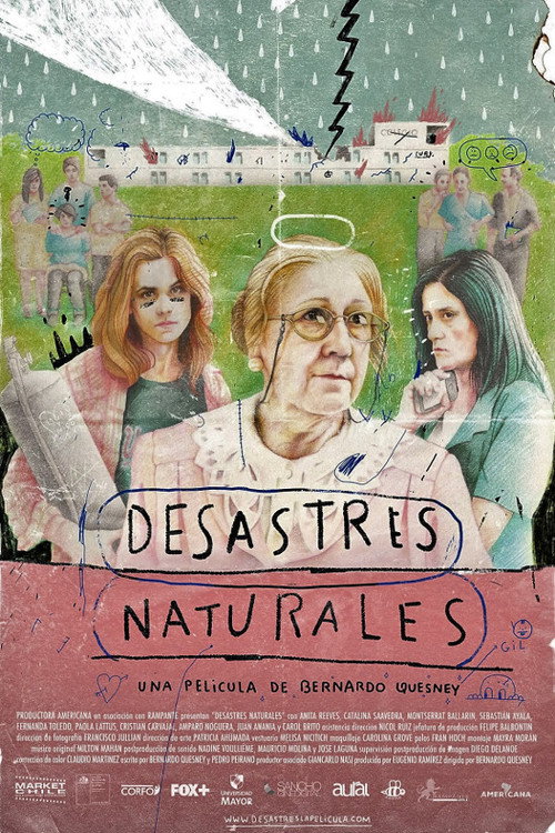 Desastres naturales постер