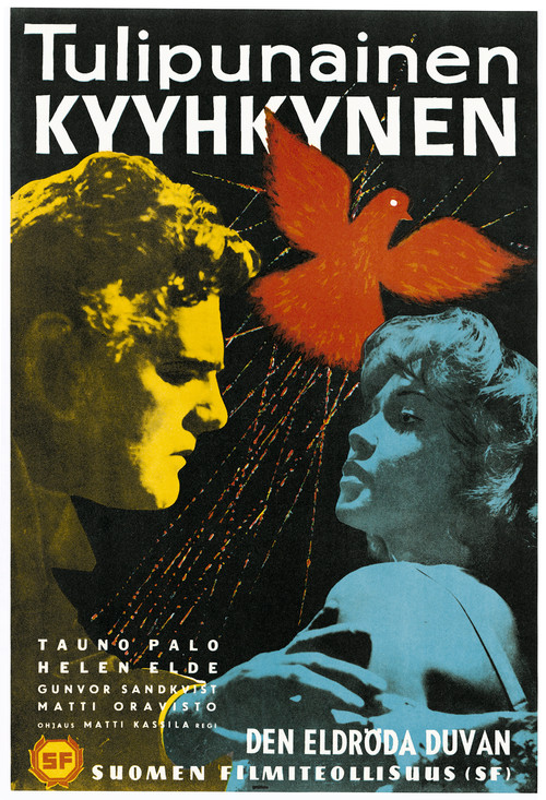 Tulipunainen kyyhkynen постер