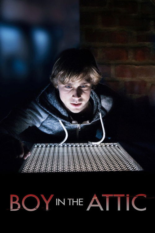 Secrets in the Attic постер