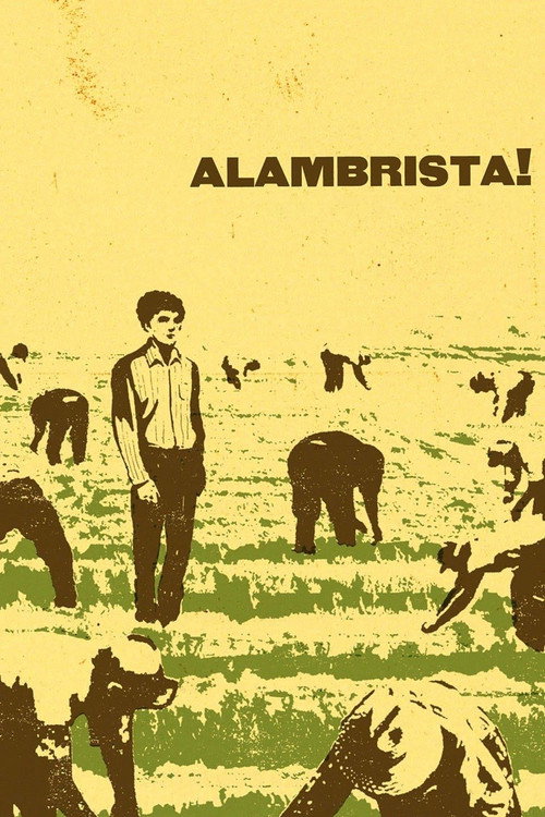 Alambrista! постер
