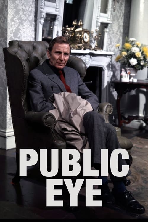 Public Eye постер