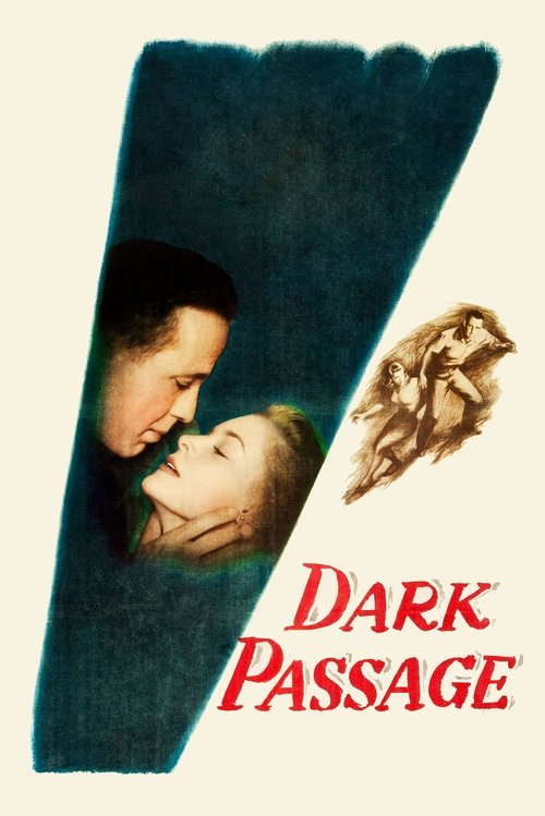 Dark Passage постер