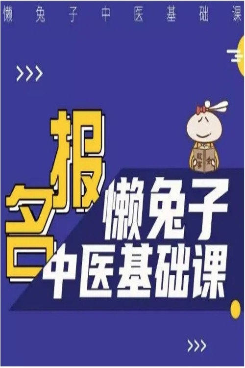 懒兔子中医基础课 постер