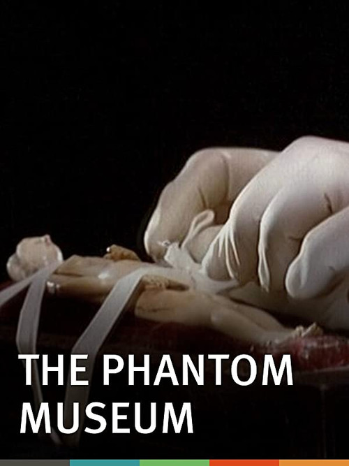 The Phantom Museum: Random Forays Into the Vaults of Sir Henry Wellcome's Medical Collection постер
