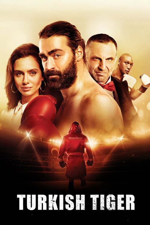 Deliormanlı постер