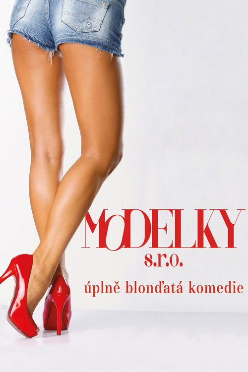 Modelky s.r.o. постер