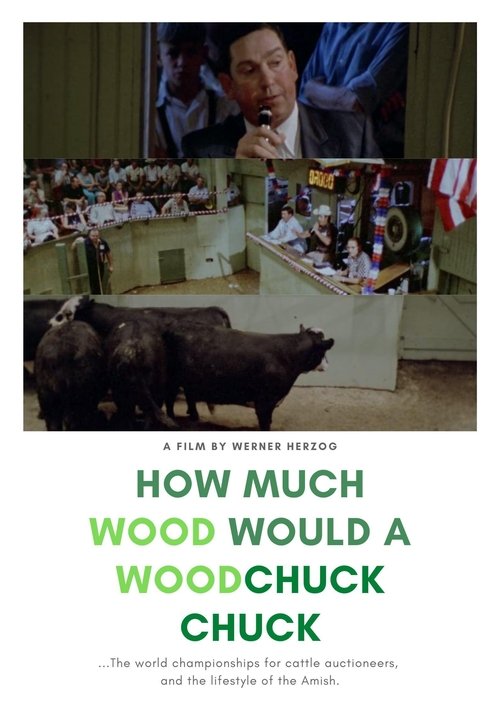 How Much Wood Would a Woodchuck Chuck: Beobachtungen zu einer neuen Sprache постер