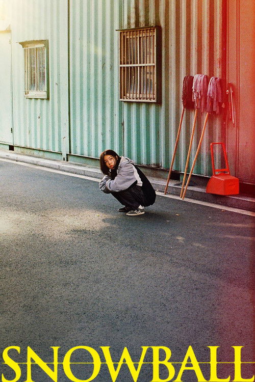 최선의 삶 постер