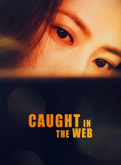 Пойманные в сеть постер