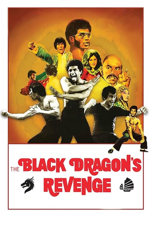 Black Dragon's Revenge постер