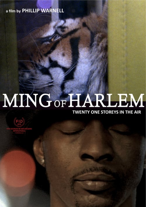 Ming of Harlem: Twenty One Storeys in the Air постер