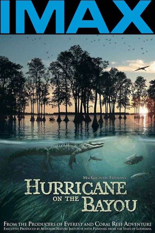Hurricane on the Bayou постер