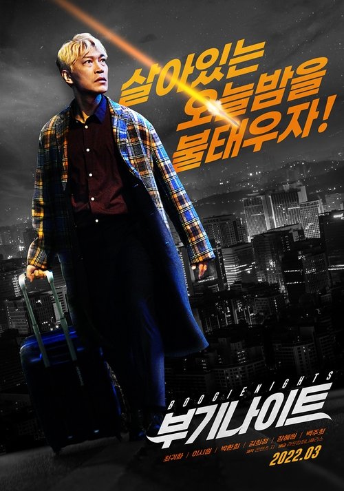 부기나이트 постер