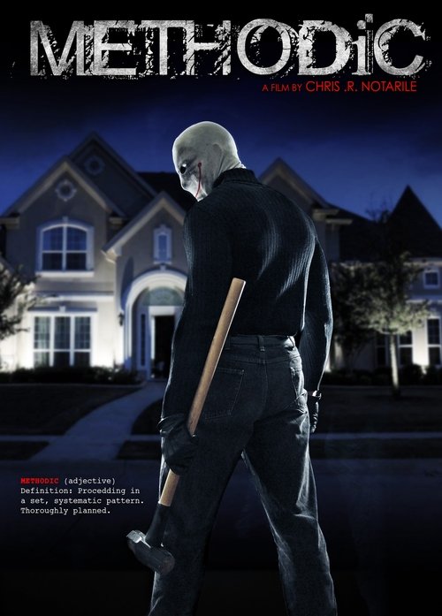 Methodic постер