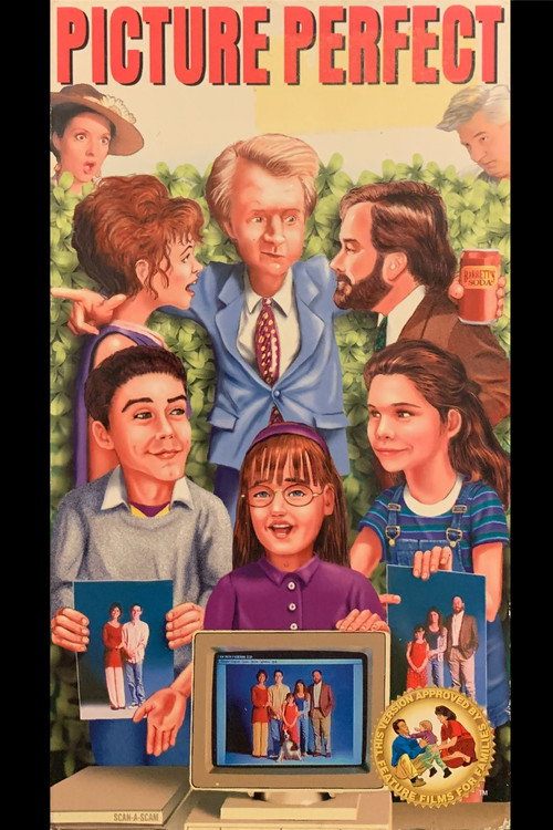 Picture Perfect постер