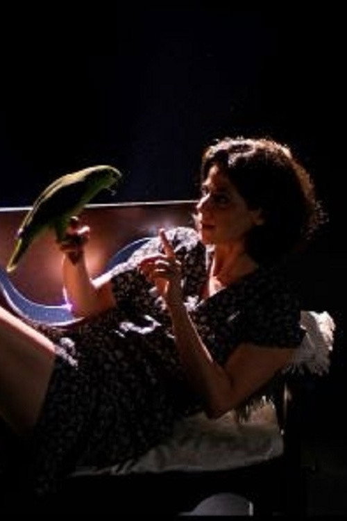 Sedução da Carne постер