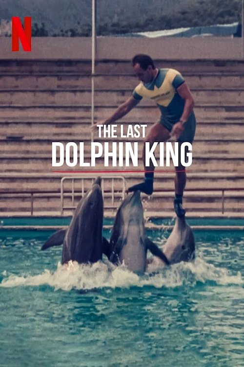 The Last Dolphin King постер