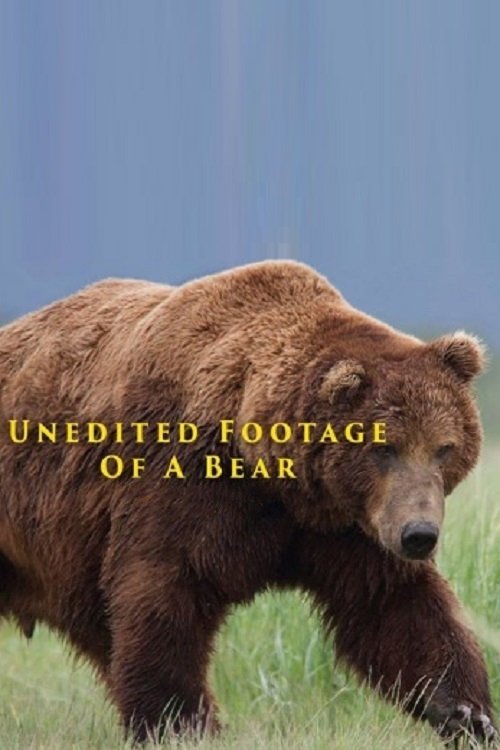 Unedited Footage of a Bear постер