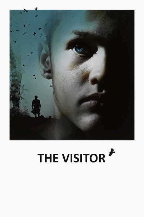 The Visitor постер