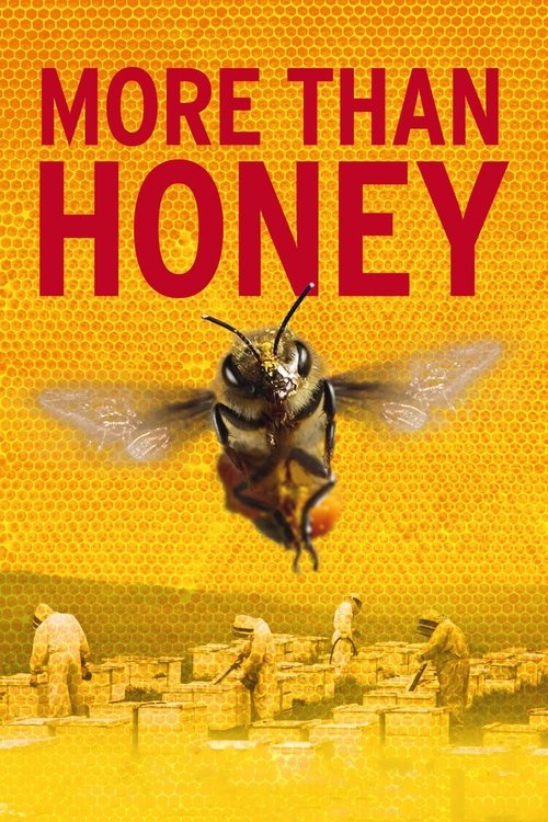 More Than Honey постер