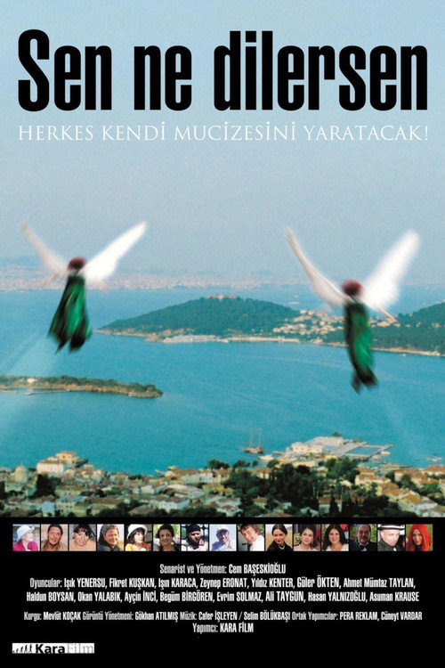 Sen Ne Dilersen постер