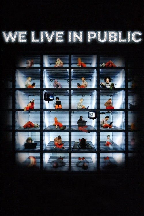 We Live in Public постер