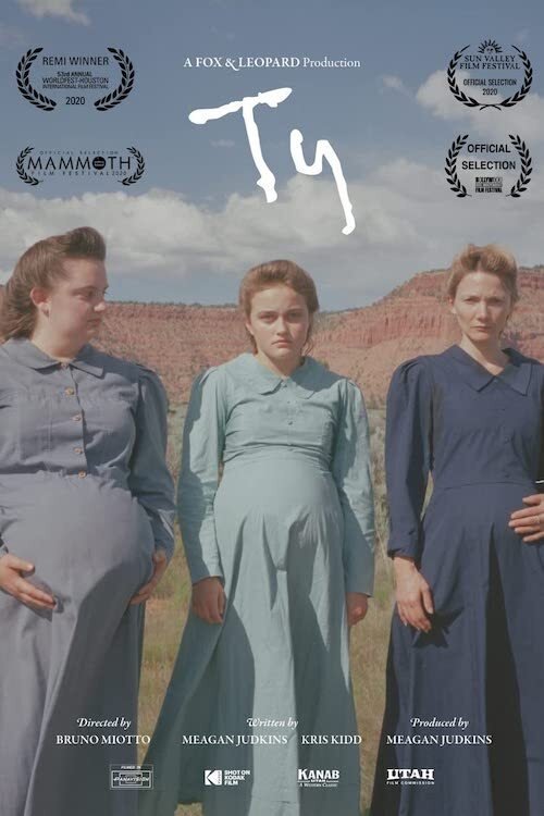 Ty постер