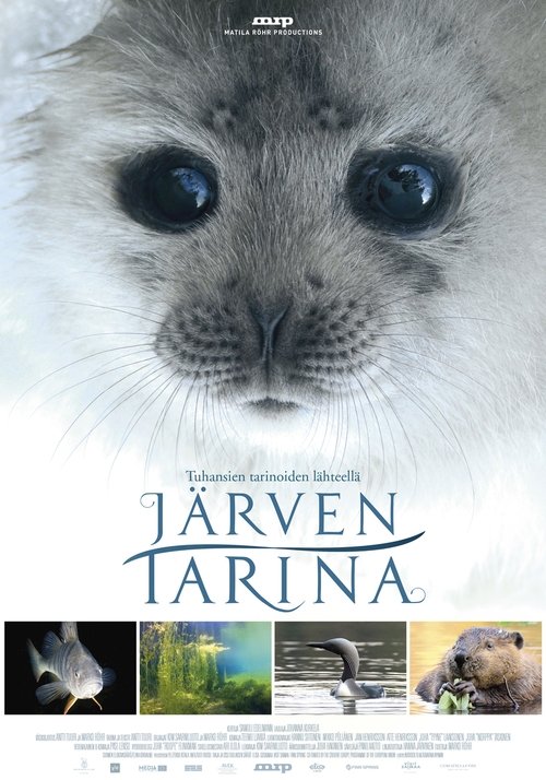 Järven tarina постер