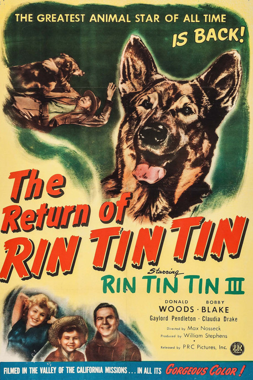 The Return of Rin Tin Tin постер