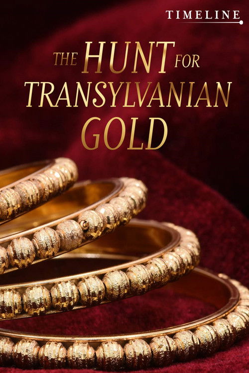 The Hunt for Transylvanian Gold постер