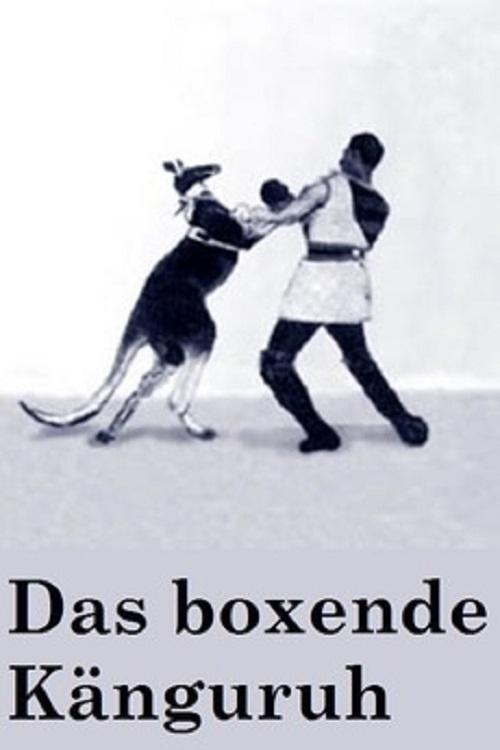 The Boxing Kangaroo постер