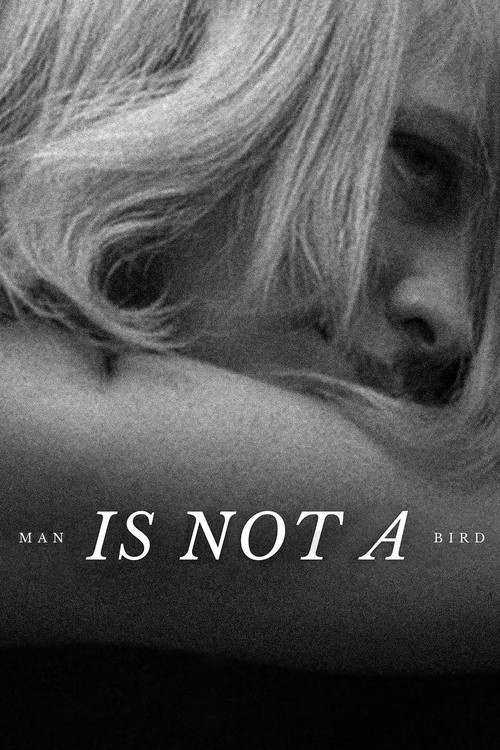 Man Is Not a Bird постер