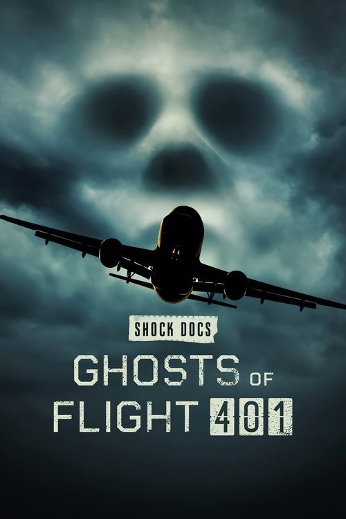 Ghosts of Flight 401 постер