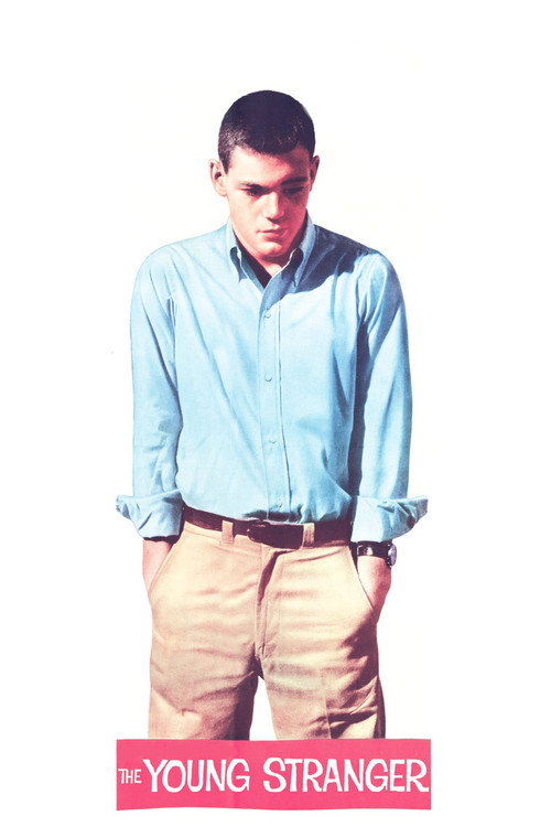 The Young Stranger постер