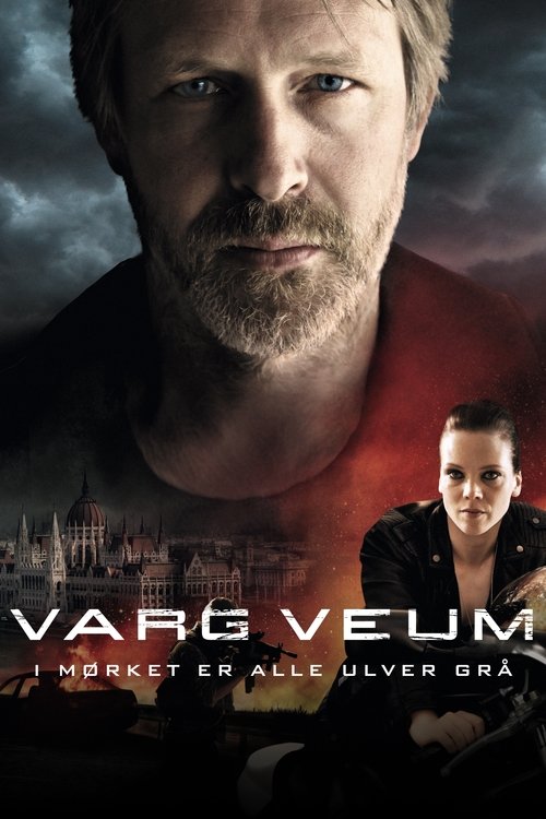 Varg Veum - At Night All Wolves Are Grey постер