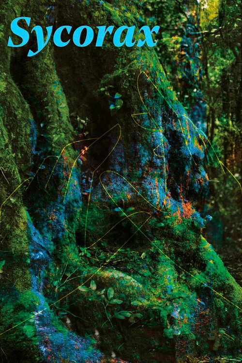 Sycorax постер