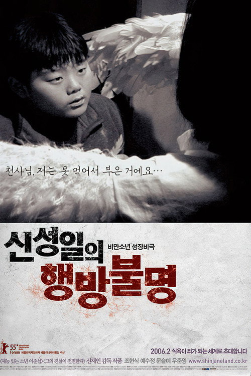The Forgotten Child : Shin Sung-Il Is Lost постер