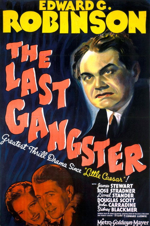 The Last Gangster постер