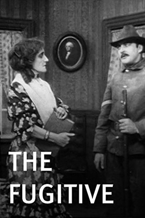 The Fugitive постер