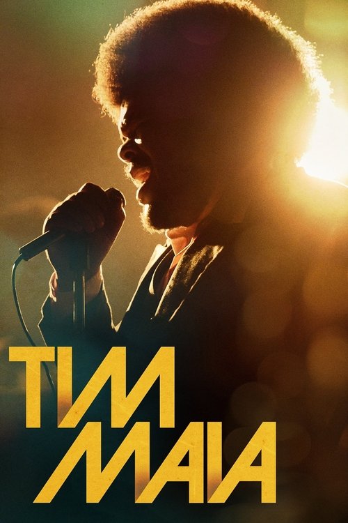 Tim Maia постер