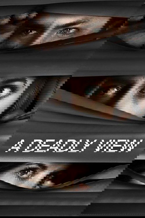 A Deadly View постер