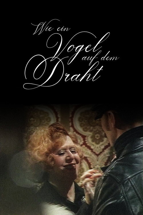 Wie ein Vogel auf dem Draht постер