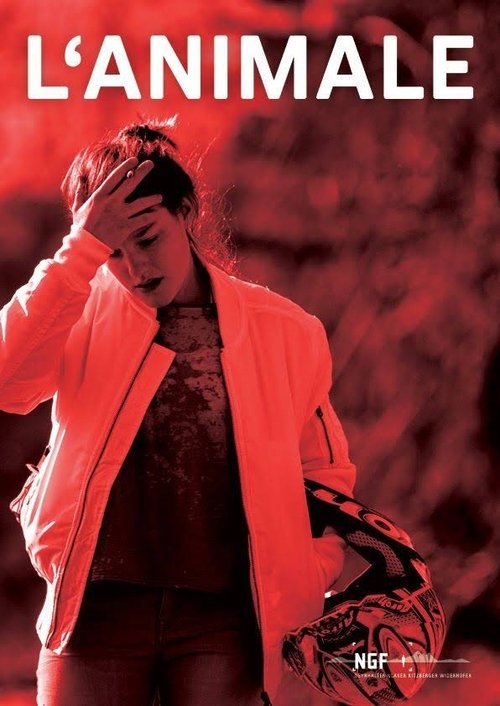 Животные постер