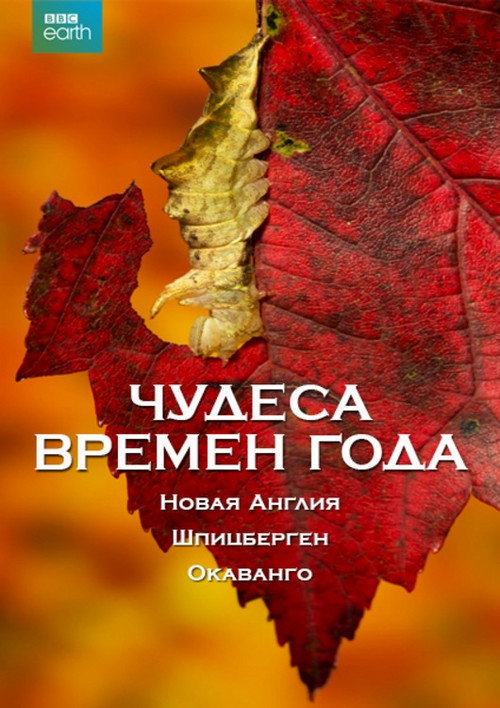 Чудеса времён года постер