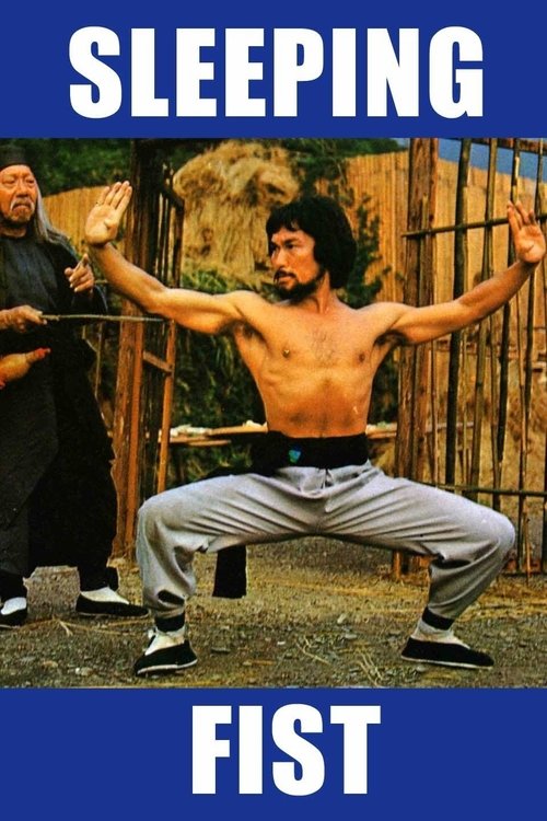 睡拳怪招 постер