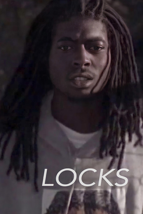 Locks постер