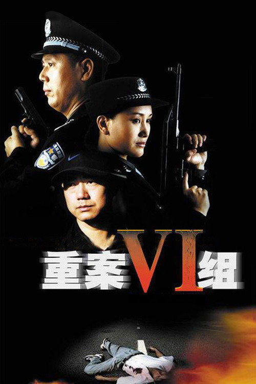 重案六组 постер