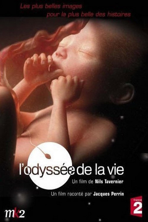 L'odyssée de la vie постер