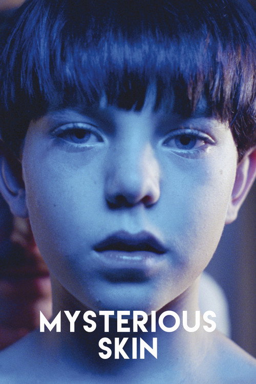 Mysterious Skin постер