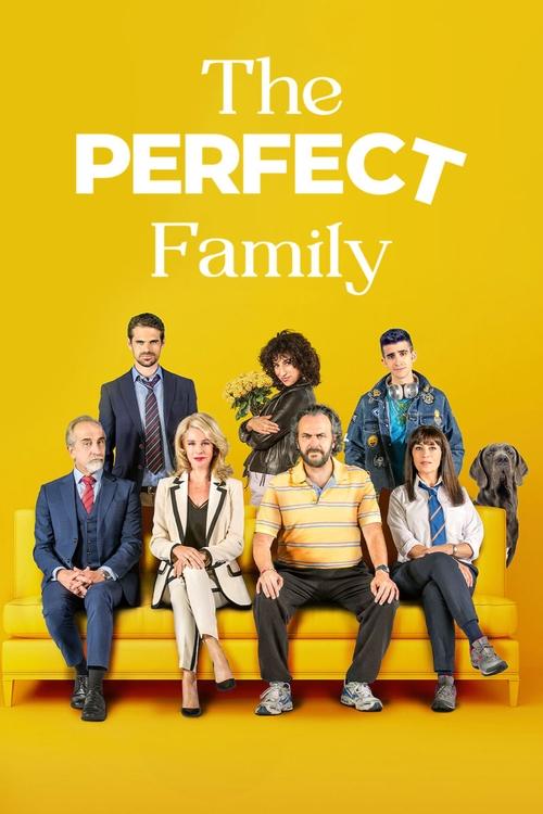 The Perfect Family постер